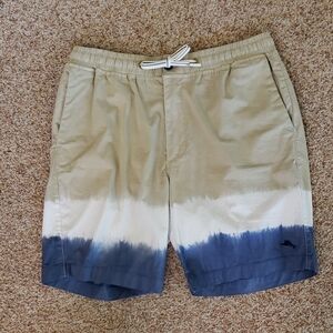 Tan and Blue Ombre Shorts